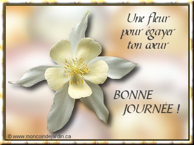 fleur pour toi